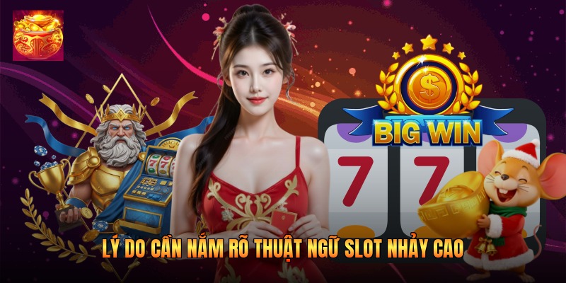 Lý do cần nắm rõ thuật ngữ slot nhảy cao Lý do cần nắm rõ thuật ngữ slot nhảy cao